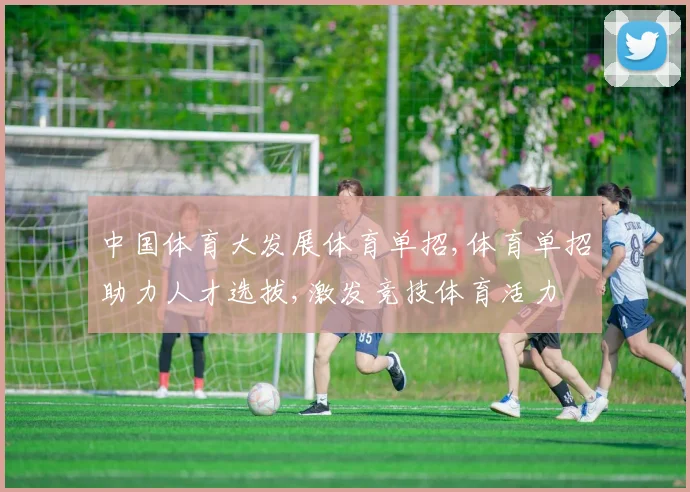 中国体育大发展体育单招,体育单招助力人才选拔,激发竞技体育活力