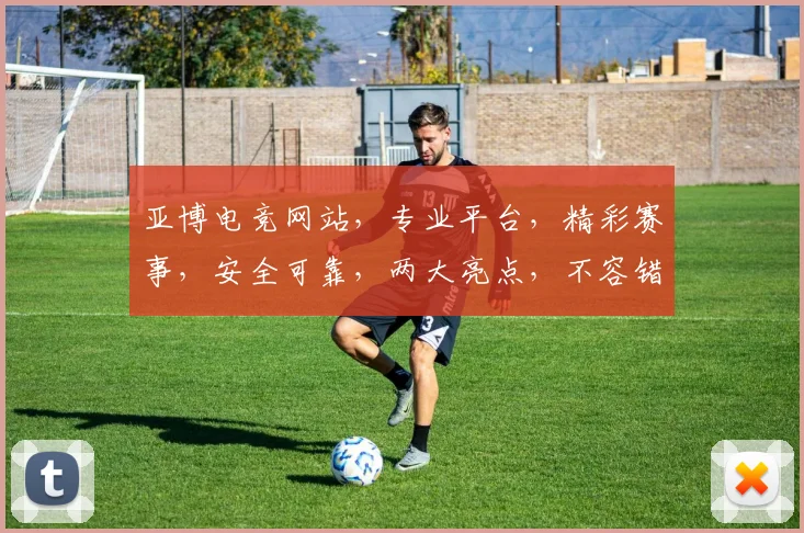 亚博电竞网站，专业平台，精彩赛事，安全可靠，两大亮点，不容错过，电竞爱好者必看