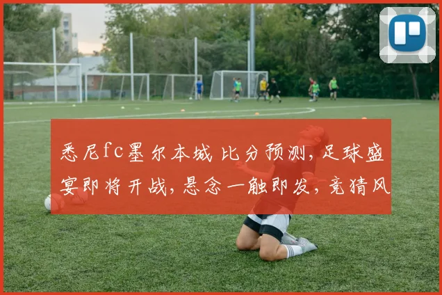 悉尼fc墨尔本城 比分预测,足球盛宴即将开战,悬念一触即发,竞猜风云,谁能笑到最后